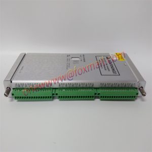 Analog input module 133819-01